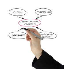 Presentation of protection of intellectual property