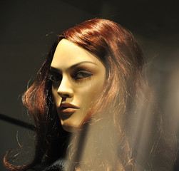 Fashion female, look of model