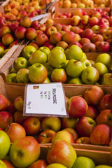 Apples on sale at a French market