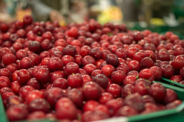 Bunch of red plum in boxes in supermarket