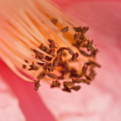 It's All In The Details