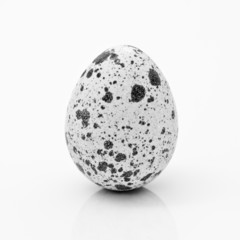 Standing Quail Egg