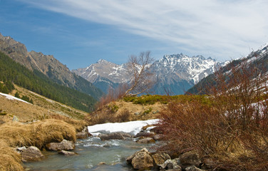 пейзаж с березой © Vadim Turkin