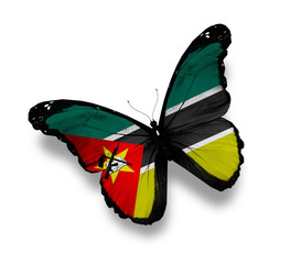 Mozambique flag butterfly, isolated on white