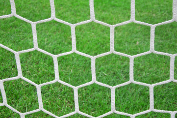 Soccer net