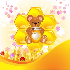 Photo sur Plexiglas Ours Illustration d& 39 un ourson mignon avec du miel