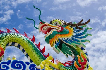 Foto op Plexiglas Chinese draak © tolotola