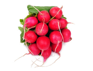 Radish on a white background