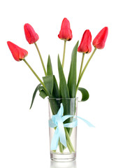 Beautiful tulips in vase isolated on white