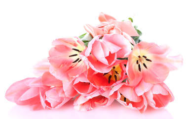 Obraz na płótnie Canvas piękne różowe tulipany na białym tle.