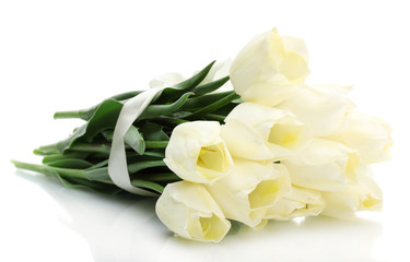 beautiful tulips isolated on white.
