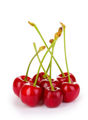 Ripe cherry berries isolated on white