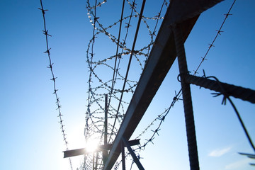 Metal barbed wire