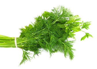 Dill and parsley isolated on a white background