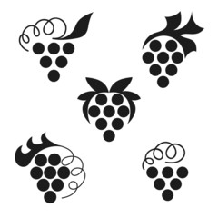 Fototapeta premium Grapes