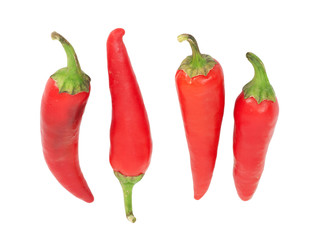 four red chilly peppers isolated on white background