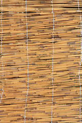 Cane texture