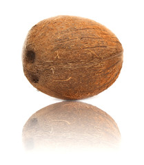 coconut on white background