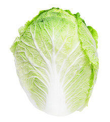 Obraz premium Chinese cabbage on white background
