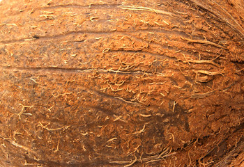 coconut   background