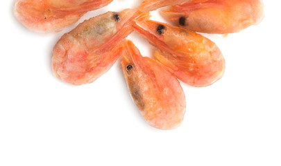 prawns on a white background