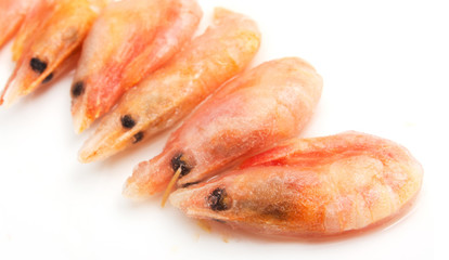 prawns on a white background