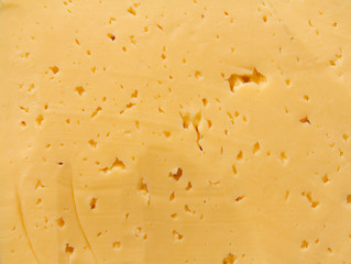 Background of fresh yellow Swiss cheese with holes