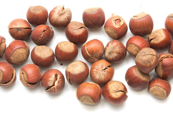 hazelnuts on a white background