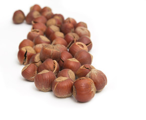 hazelnuts on a white background