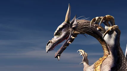 Photo sur Aluminium Dragons Dragon