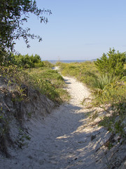 Path Leading to the Sea