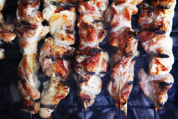 shish kebab on grilling grid