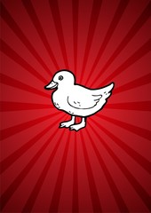 Little duck