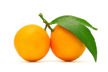 mandarine isolated on white background