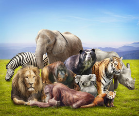 Obraz premium Group of animals