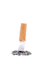 A cigarette butt on white