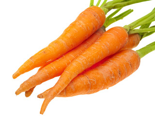 Carrots.