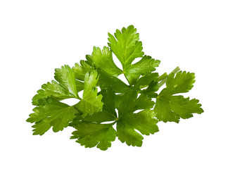 Celery closeup on a white background