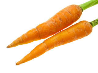 Carrots.