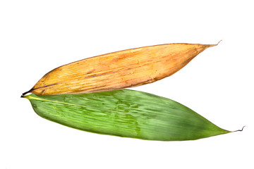 bamboo leaves for rice dumpling