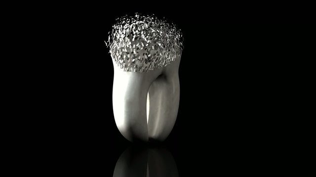 Auf den Zahn gef&uuml;hlt