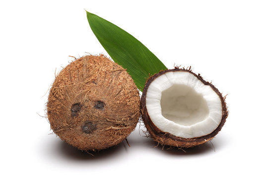 Coconut with green leaves