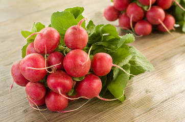 Ravanelli - radishes
