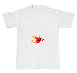 ketchup  food stain on a t shirt © Lumos sp