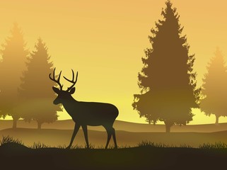 Deer with nature background