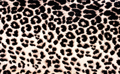 Leopard Print