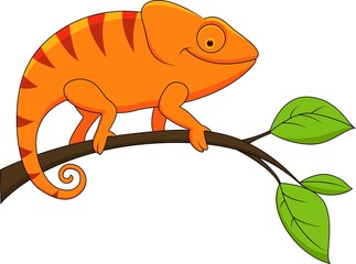 Funny chameleon cartoon