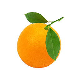 orange with leaf isolated on white background