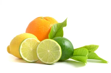 Fototapete Früchte Arrangement mit Zitrusfrüchten, citrus fruits