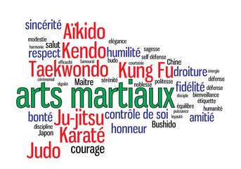 Fototapeta premium WEB ART DESIGN TAG CLOUD NUAGE ARTS MARTIAUX 020